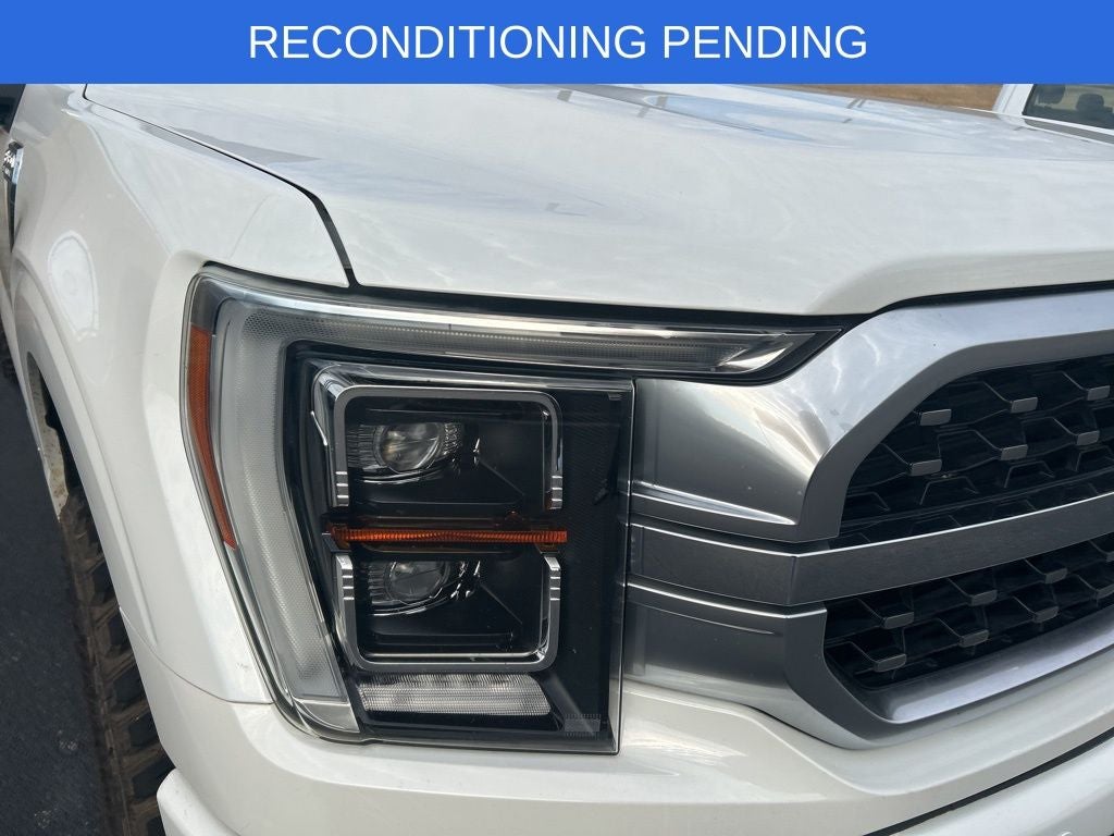 2021 Ford F-150 Platinum