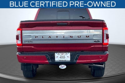 2023 Ford F-150 Platinum